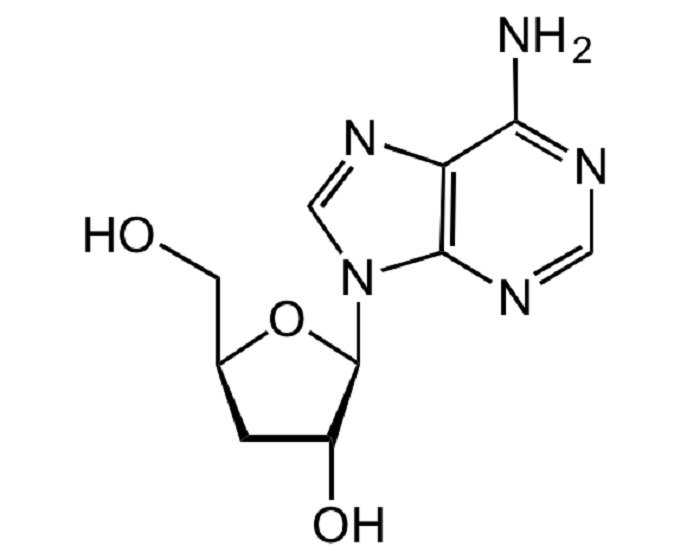 Công thức phân tử của hợp chất cordycepin