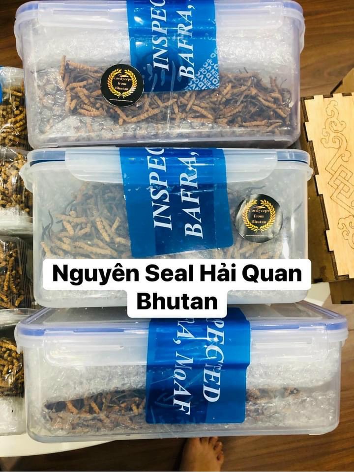hộp nguyên seal hải quan bhutan dán tem đông trùng hạ thảo