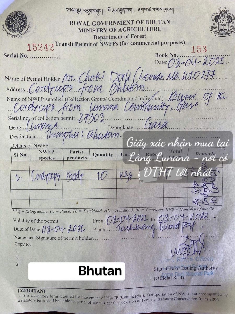 giấy xác nhận mua đông trùng hạ thảo tại làng lunana bhutan