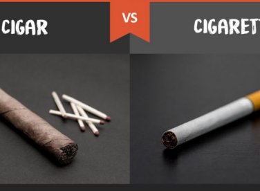 Phân biệt Xì gà với thuốc lá điếu, thuốc lào và các chất hút gây nghiện,…