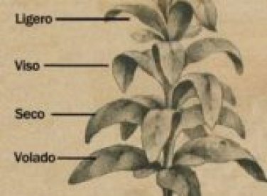 Tại sao các điếu xì gà lại có độ nặng khác nhau?