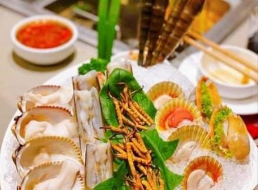 Cách dùng đông trùng hạ thảo đúng cách tốt nhất