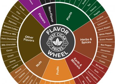 SẮC, HƯƠNG VÀ MÙI VỊ CIGAR