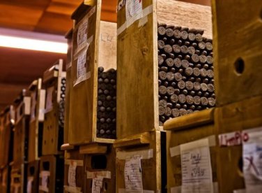 Hạn sử dụng của xì gà