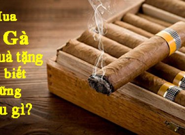 Mua xì gà làm quà tặng cần biết những điều gì?