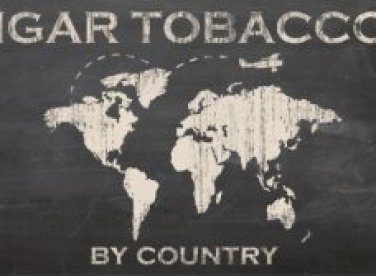 Cách chọn xì gà theo nguồn gốc lá thuốc 