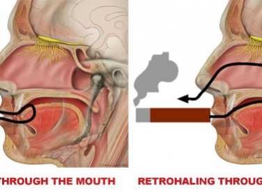 HÚT XÌ GÀ NHƯ THẾ NÀO?