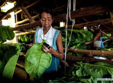 TIÊU CHUẨN CHỌN XÌ GÀ NGON