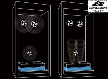 Tầm quan trọng của tủ bảo quản cigar