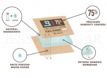 Giải pháp bảo quản xì gà thuận tiện và đơn giản.