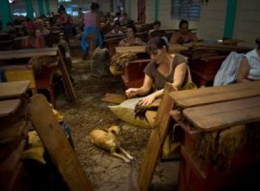 Quy trình sản xuất Xì Gà ở Cuba