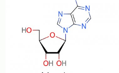 Adenosine: Khái niệm, tác dụng và vai trò đối với tim