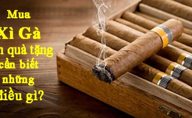 Mua xì gà làm quà tặng cần biết những điều gì?