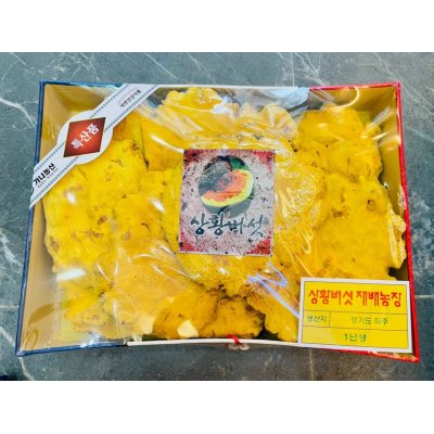 Nấm Thượng Hoàng Hàn Quốc