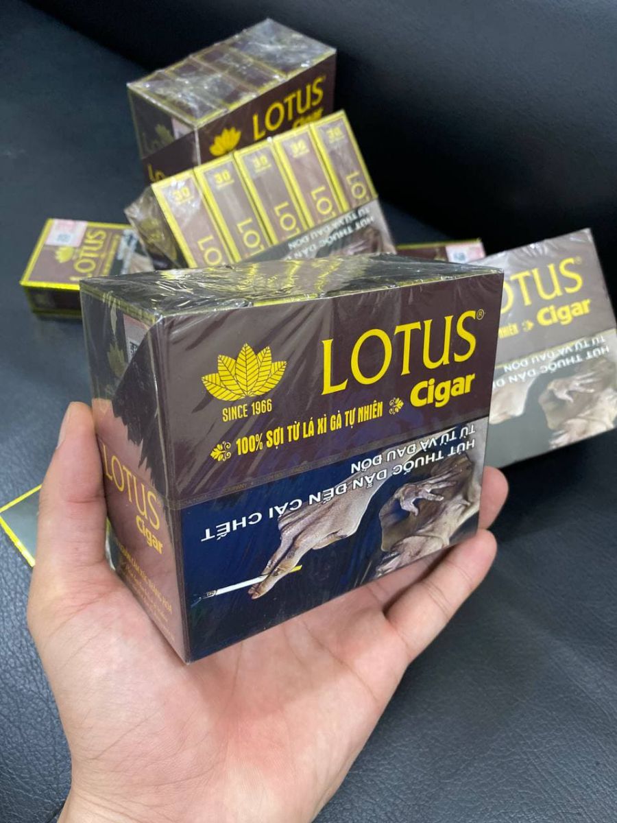 Xì gà Lotus Cigar loại 30 điếu việt nam
