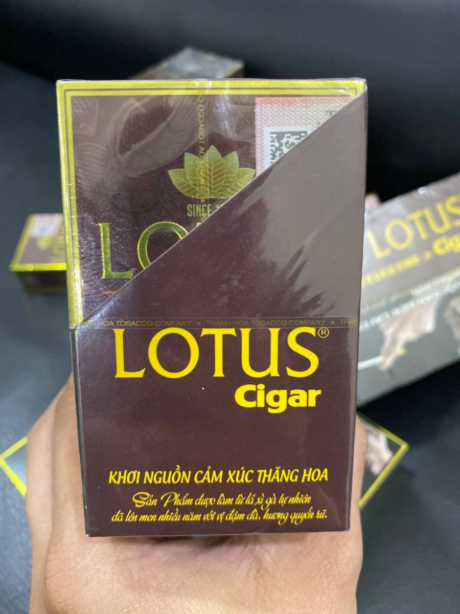 Xì gà Lotus Cigar loại 30 điếu việt nam mini
