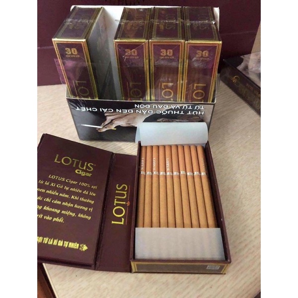 Xì gà Lotus Cigar loại 30 điếu xì gà việt nam