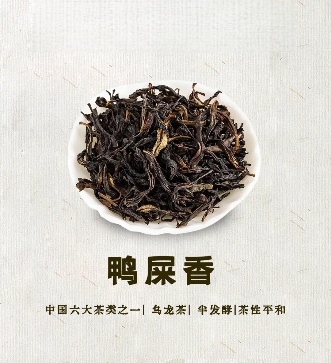 tra-nha-thi-huong-cohiba-bac-ninh tra-nha-thi-huong-cohiba-bac-ninh