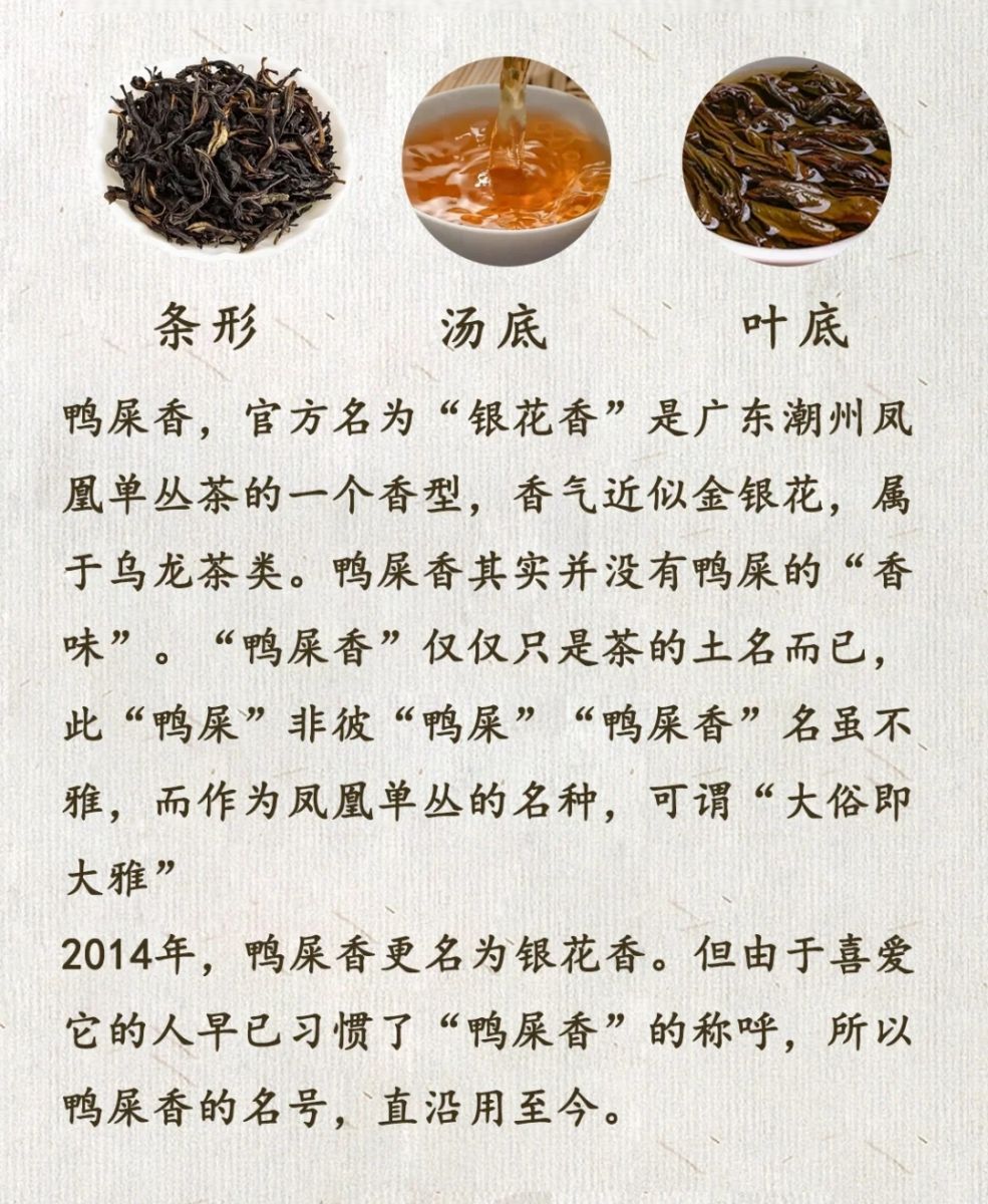 tra-nha-thi-huong-cohiba-hung-yen tra-nha-thi-huong-cohiba-hung-yen