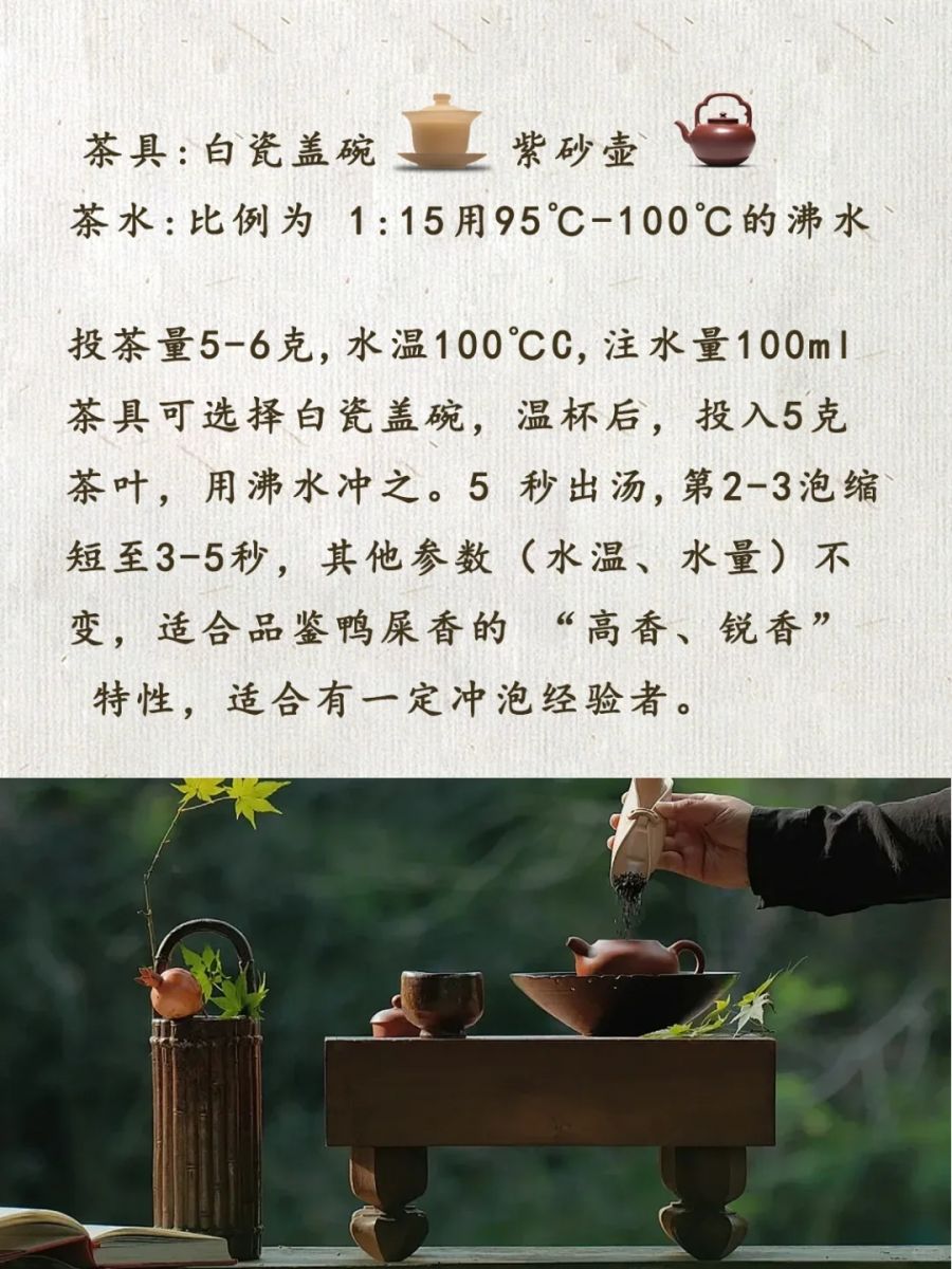 tra-nha-thi-huong-cohiba-quang-ninh tra-nha-thi-huong-cohiba-quang-ninh