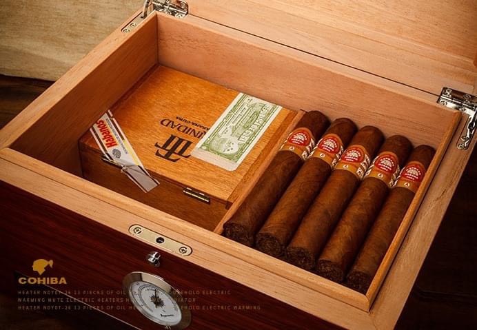Kích thước kỹ thuật tủ bảo quản xì gà 70 điếu Lubinski RA900 chính hãng